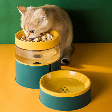 Pet Drinking Water Feeding Bowl